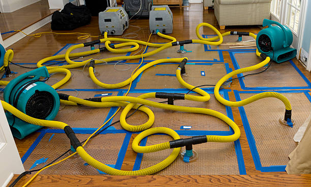 Professional Water Damage Repair technician working in Mears, MI
